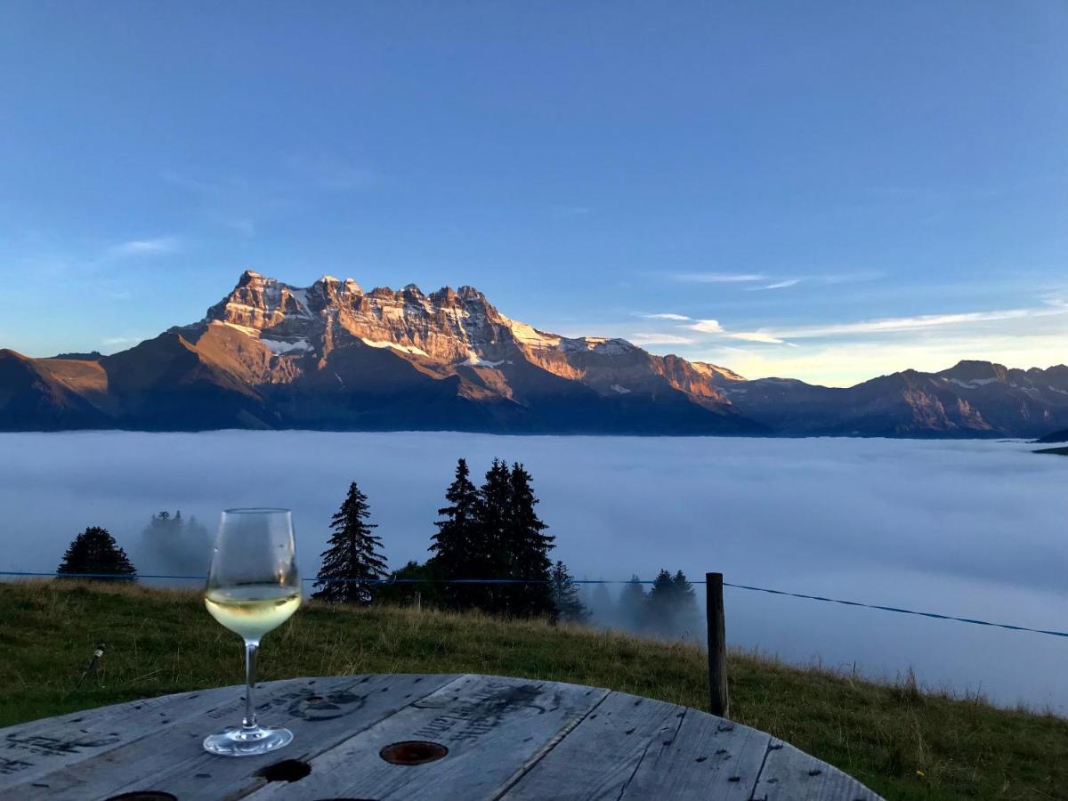 Chalet Chanso Morgins Exterior foto